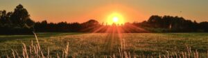 sunrise